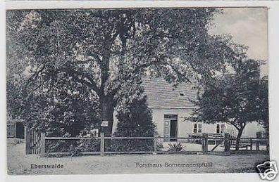34902 Ak Eberswalde Forsthaus Bornemannspfuhl 1925