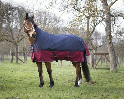 EQUI-THÈME TYREX 1200 D High Neck Decke Regendecke Weidedecke