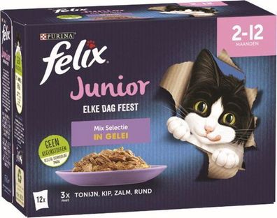 Pch edf jr mix gel 12p 85g Felix