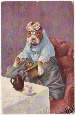 29715 Humor Ak Hund mit Brille und Kaffeemühle 1905