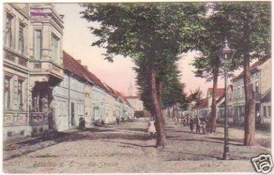 29620 Ak Rosslau an der Elbe Elbstrasse 1908