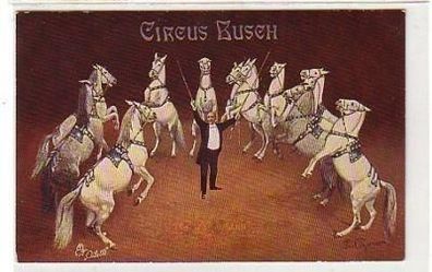 29618 Ak Circus Busch Pferde Dessur um 1910