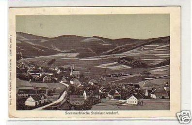 27893 Ak Sommerfrische Steinkunzendorf Totale um 1910