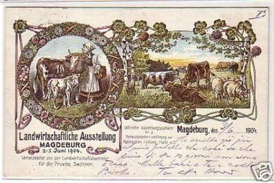 28330 Ak Landwirtschaftliche Ausstellung Magdeburg 1904