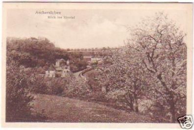 26675 Ak Aschersleben Blick ins Einetal 1931