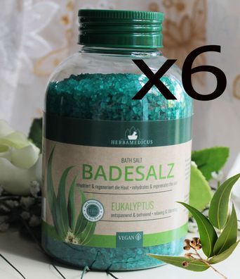 6x575g Herbamedicus Badesalz Eukalyptus entspannend befreiend Bath Salt Vegan