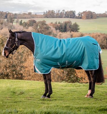 Horseware Amigo Bravo 12 Wug Turnout 0g Light Highneck Storm Green / Aqua & Turquoise