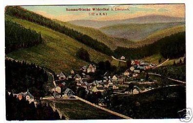 32098 Ak Sommerfrische Wildenthal bei Eibenstock um1920