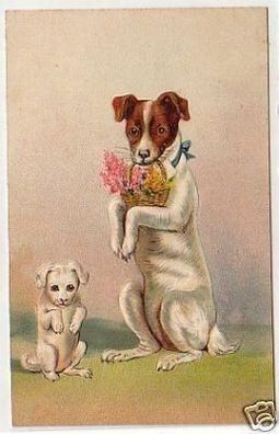 25674 Humor Präge Ak 2 Hunde mit Korb im Maul um 1910