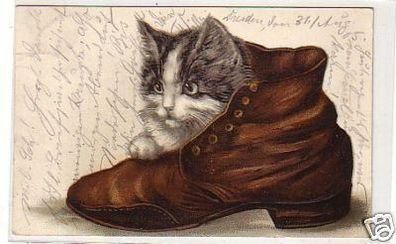 24515 Präge Ak Katze schaut aus Schuh 1905