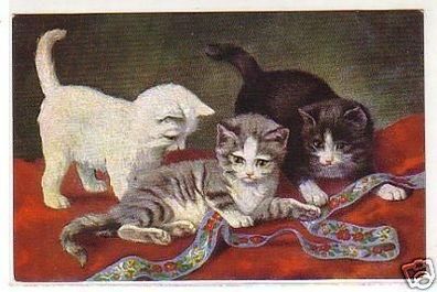 24707 Ak 3 kleine Katzen spielen mit Band um 1910