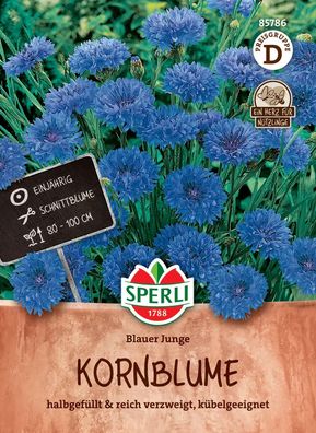 Sperli Kornblumenn Blauer Junge - Blumensamen