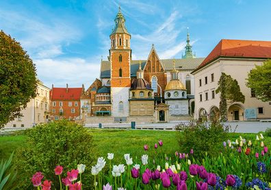 Burg Wawel in Krakau, Polen