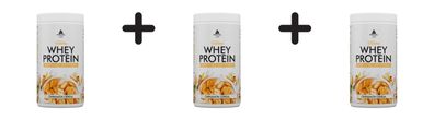 3 x Peak Delicious Whey Protein (450g) Cinnamon Cereal