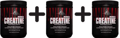 3 x Micronized Creatine Monohydrate Capsules - 300 caps