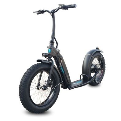 E-Scooter Elektroroller Elektro Roller Scooter eScooter Country 500W 48V Lithium