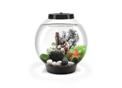 Oase biOrb Classic 15 Liter Aquarium MCR schwarz
