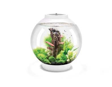 Oase biOrb Classic 30 Liter Aquarium MCR weiß