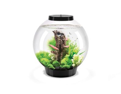 Oase biOrb Classic 30 Liter Aquarium MCR schwarz
