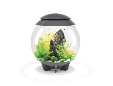 Oase biOrb Halo 30 Liter Aquarium MCR grau