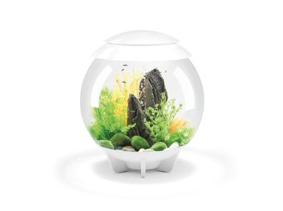 Oase biOrb Halo 30 Liter Aquarium MCR weiß