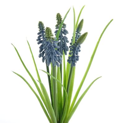 GASPER Traubenhyazinthen - Muscaribund Blau 30 cm 5er Bund - Kunstblumen