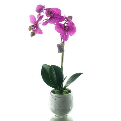 GASPER Schmetterlingsorchidee Lila im Keramiktopf 36 cm - Kunstblumen