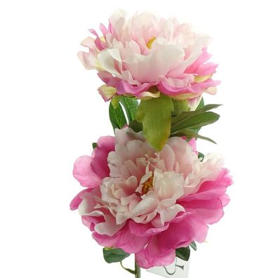 GASPER Pfingstrose - Peonie Rosa & Weiß Ø bis ca. 12,5 cm - Kunstblumen