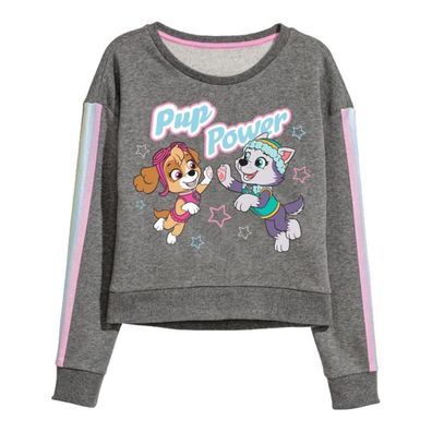 PAW Patrol Rundhals-Pullover "Pup Power" | Skye & Everest | Grau