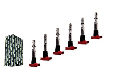 6x Zündspule SPULE FÜR 3.0 AUDI A4 (B6 B7) A6 (C5 C6) A8 (D3) 06C905115 Quattro
