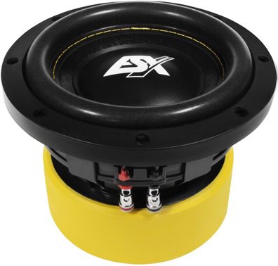 ESX Quantum Woofer Subwoofer Bass Tiefton Hifi QE-622