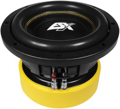 ESX Quantum Woofer Subwoofer Bass Tiefton Hifi QE-822