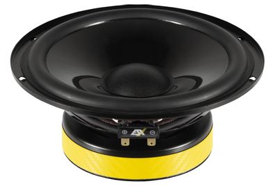 ESX Quantum Woofer Subwoofer Bass Tiefton Hifi 16,5 cm QXE-6.2WV2