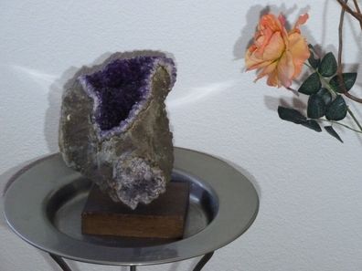 Amethyst Druse in Mutterstein #6