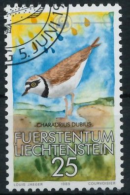 Liechtenstein 1989 Nr 967 gestempelt SB45A52