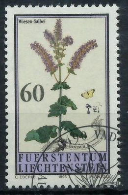 Liechtenstein 1993 Nr 1070 gestempelt SB45D6E