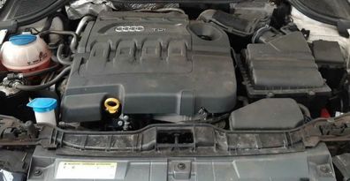 Motor VW Touran 1.6 TDI CAYB 75 TKM 66 KW 90 PS komplett inkl. Li