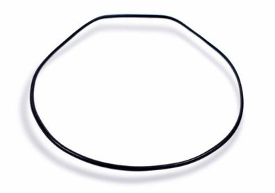 Casio Dichtungsring O-Ring BG-6900 BG-6901 BG-6902 BG-6903 GMD-S6900