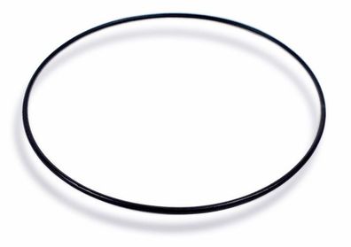 Uhren Dichtungsring O-Ring schwarz Casio 10117236 24473