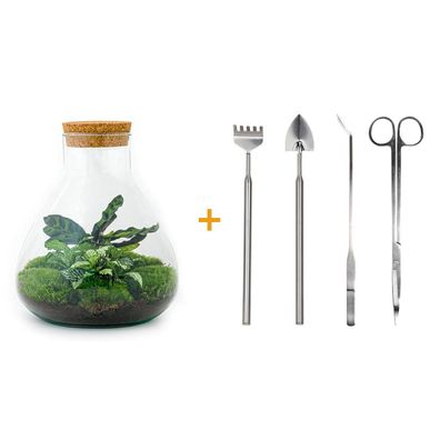 Flaschengarten Sammie - DIY Terrarium Set mit Rake, Schaufel und Tweezer - 26 cm hoc