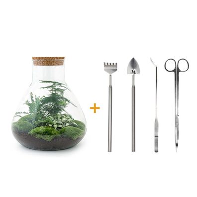 Flaschengarten Sam XL - Do-It-Yourself Pflanzen-Terrarium mit Werkzeugen - 35 cm hoc