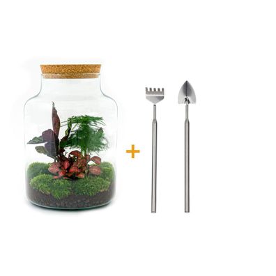 Flaschengarten DIY Set "Milky" - Pflanzterrarium mit Rake + Shovel, Ø 21 cm, Höhe 30