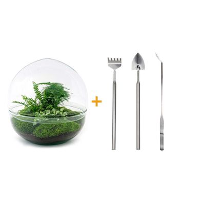 Flaschengarten Dome XL - Do-It-Yourself Terrarium mit Schaufel, Rechen und Zange - Ø