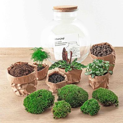 Flaschengarten Bolder Bob DIY Terrarium Set - Ø 31 cm und Höhe 30 cm mit Rake und Sho