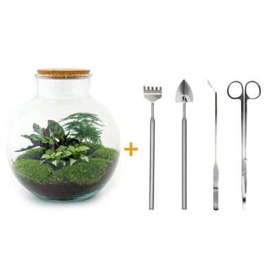 Flaschengarten Bolder Bob - DIY Terrarium Set 30 cm mit Rake, Schaufel, Zange und Sch