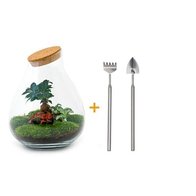 Flaschengarten - DIY-Set Drop XL mit Rake + Shovel - Höhe 37 cm, autarkes Ökosystem f