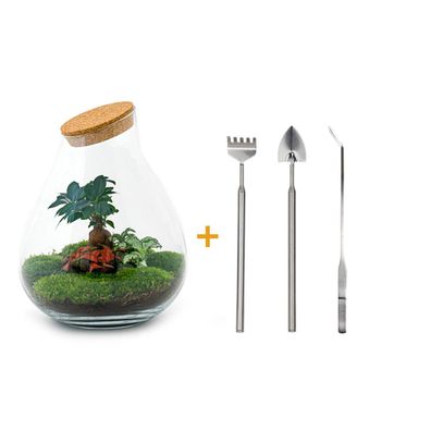 Flaschengarten Set Drop XL - DIY Terrarium mit Rake, Schaufel und Tweezer - 37 cm Höh