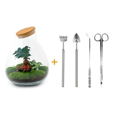 Flaschengarten - DIY Set Drop XL mit Rake, Schaufel, Tweezern und Scheren - 37 cm hoc