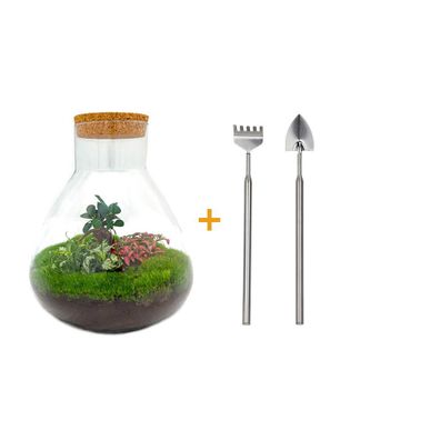 Flaschengarten Sam XL - Bonsai Set (35 cm) mit Rake & Shovel