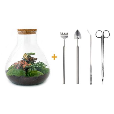 Flaschengarten Set Sam XL Rot - 35 cm hoch - DIY Terrarium mit Rake, Schaufel, Pinzet